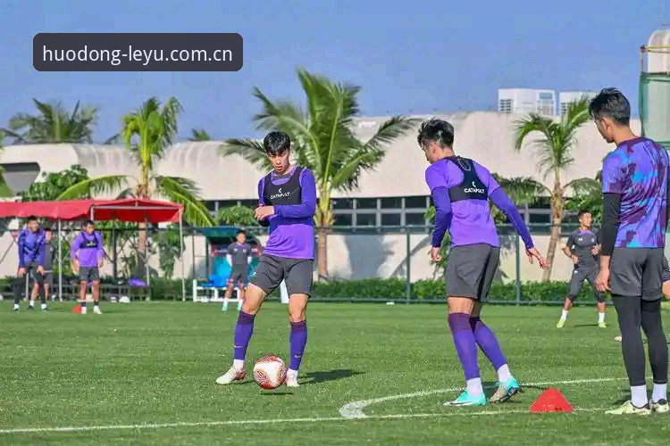 乐鱼体育新手 乐鱼体育新手入门vs高手进阶:从下载到竞猜的全流程对比